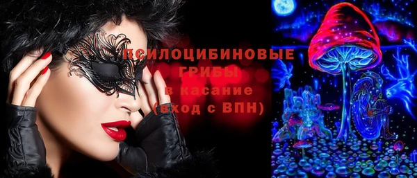 ГАЛЛЮЦИНОГЕННЫЕ ГРИБЫ Алексин
