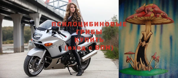 ГАЛЛЮЦИНОГЕННЫЕ ГРИБЫ Алексин