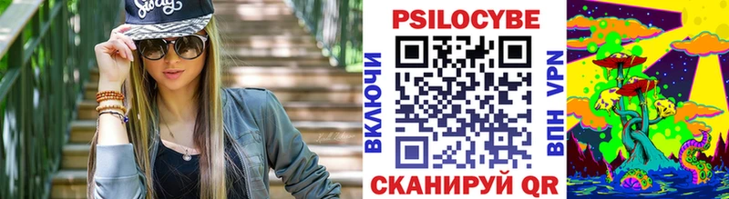 купить наркотик  Егорьевск  гидра сайт  Псилоцибиновые грибы GOLDEN TEACHER 